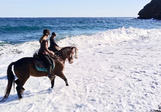 Lanzarote horseback riding on a beach.jpg