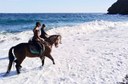Lanzarote horseback riding on a beach.jpg