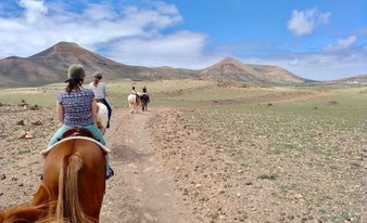 30 minutes Horse Riding in Lanzarote