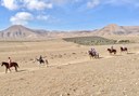 Horse riding the heartland of Lanzarote.jpg