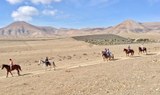 Horse riding the heartland of Lanzarote.jpg