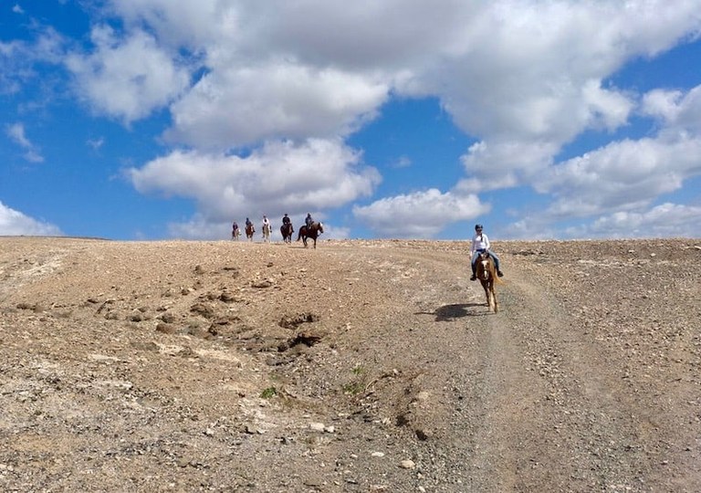 Horse riding tour Lanzarote heartland.jpg