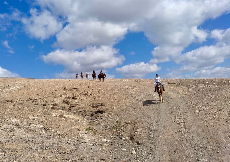 Horse riding tour Lanzarote heartland.jpg