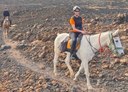 Riding the interior terrain of Lanzarote on a horse.jpg