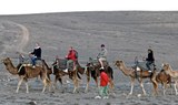 camel safari on sandy landscapes in Lanzarote