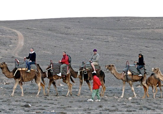 camel safari on sandy landscapes in Lanzarote