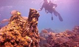 discover underwater Lanzarote wonders via diving