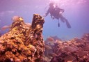 discover underwater Lanzarote wonders via diving