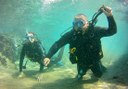 diving in Lanzarote
