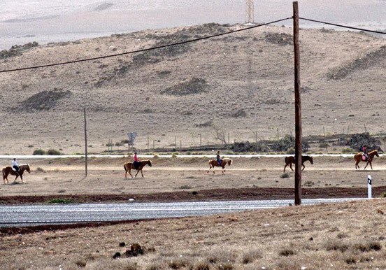 horse riding in Lanzarote