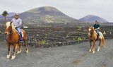 Explore Lanzarote wine plantation on a horse Tinasoria route.jpg