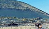 Horse ride amidst volcanoes in Lanzarote Tinasoria.jpg
