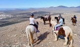 Lanzarote horse riding Tinasoria route.jpg
