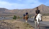 Lanzarote horse back riding lessons