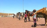Learn horseback riding in Lanzarote