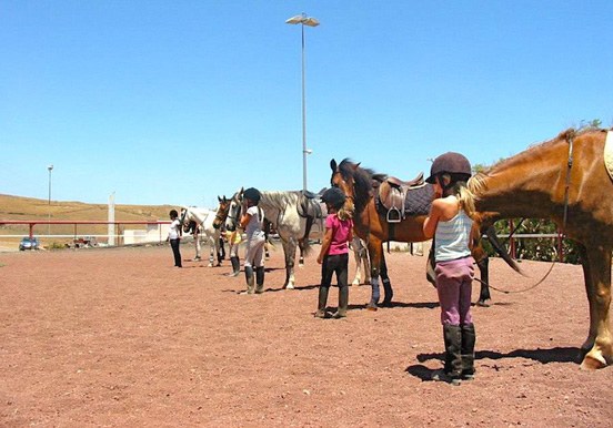 Learn horseback riding in Lanzarote