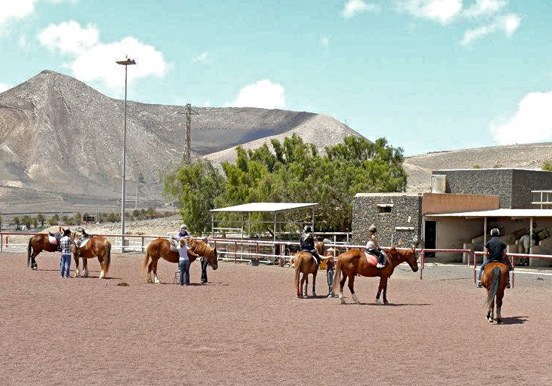 Learn to horse ride in Lanzarote