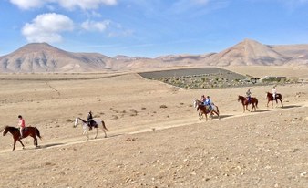 Horse Riding Tour - Heartland to Puerto Calero 1.5h