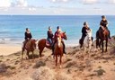 Papagayo horseback riding in Lanzarote.jpg