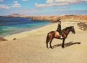View of Playa Papagayo from horseback in Lanzarote.jpg