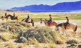 Amazing horse riding in Caleta Famara.jpg