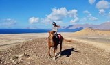 Caleta Famara horseback riding excursion in Lanzarote.jpg