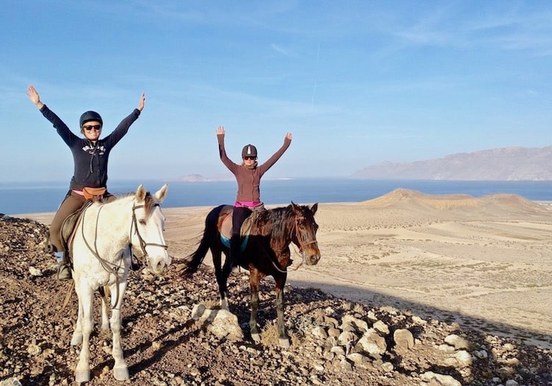 Horse riding excursion Lanzarote Caleta Famara.jpg
