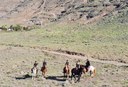 Horse riding inland of Caleta de Famara.jpg