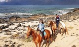 Horse riding on sand Lanzarote.jpg