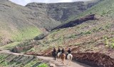 Lanzarote horse riding tour Caleta Famara route.jpg