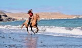 Horse riding Lanzarote beach tour.jpg