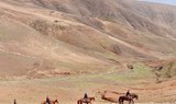 Los Ajaches horse riding in Lanzarote.jpg