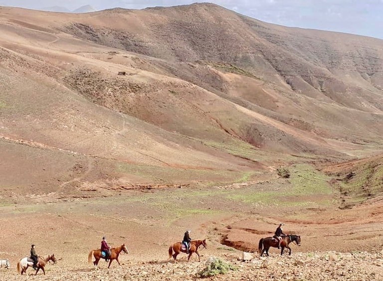 Los Ajaches horse riding in Lanzarote.jpg