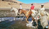 Riding horse on a beach in Lanzarote.jpg
