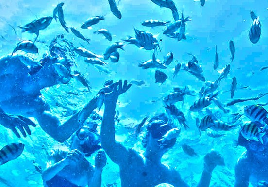 snorkel in the clear waters of Lobos
