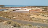Lanzarote salt pans.jpg
