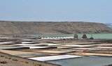 salt plains in Las Salinas de Janubio