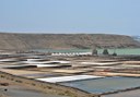 salt plains in Las Salinas de Janubio
