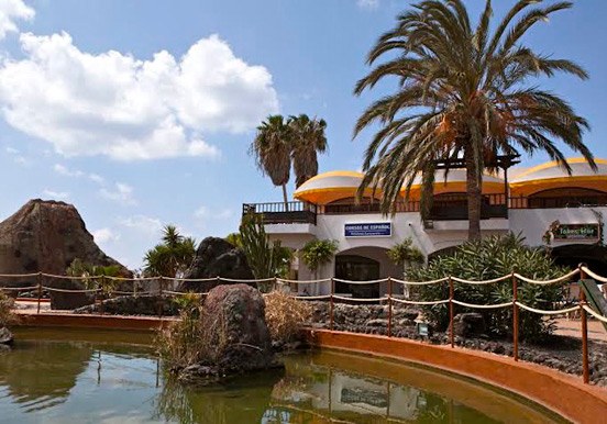 language school in Lanzarote