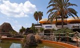 language school in Lanzarote