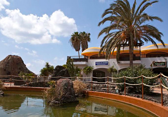 language school in Lanzarote