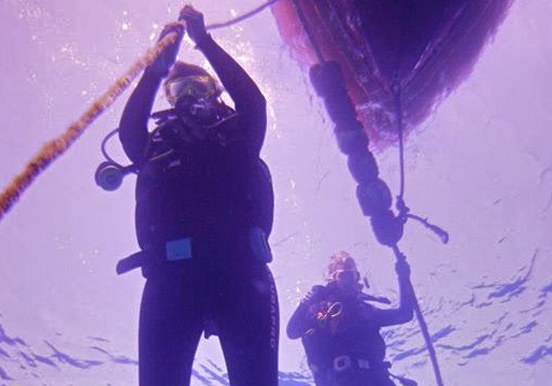 dive in Lanzarote waters