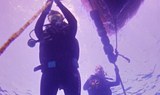 dive in Lanzarote waters
