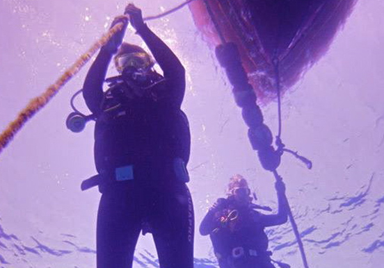 dive in Lanzarote waters