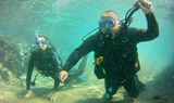 diving in Lanzarote