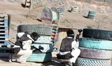 paintball game in Lanzarote