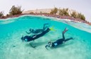 Full Snorkelling rental pack Lanzarote.jpg