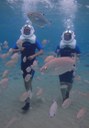 walk underwater thru sea trek adventure