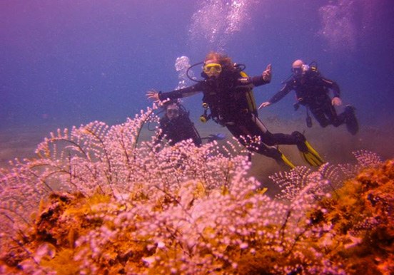 open water diving in Lanzarote
