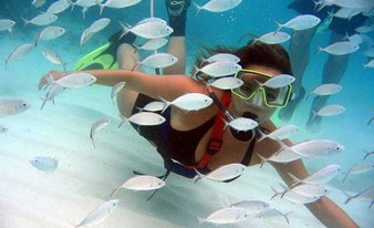 Super Snorkel in Lanzarote
